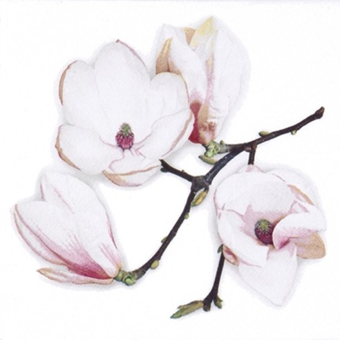 SERVILLETA 33X33CM WHITE MAGNOLIA