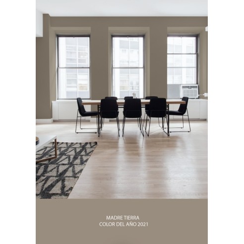 PINTURA PARED MADRE TIERRA MATE COLOR 2021