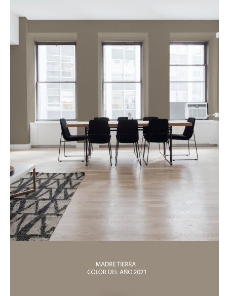 PINTURA PARED MADRE TIERRA MATE COLOR 2021