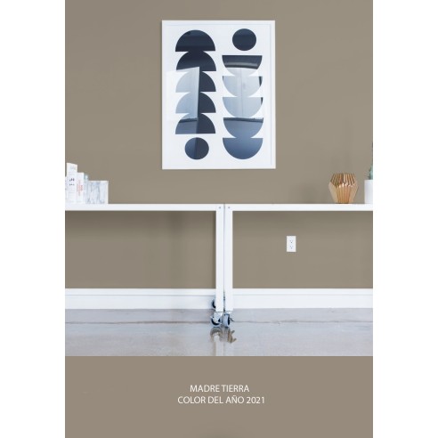 PINTURA PARED MADRE TIERRA MATE COLOR 2021