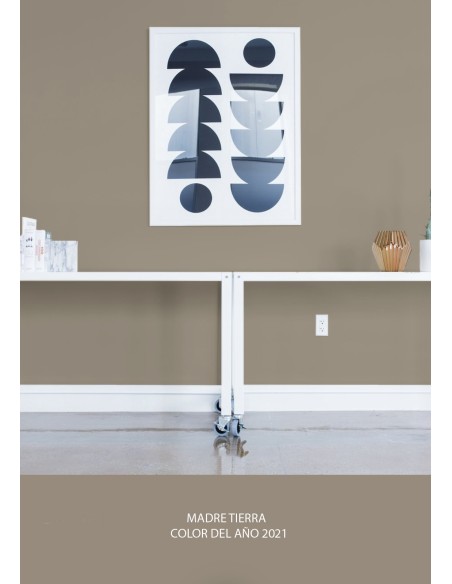 PINTURA PARED MADRE TIERRA MATE COLOR 2021