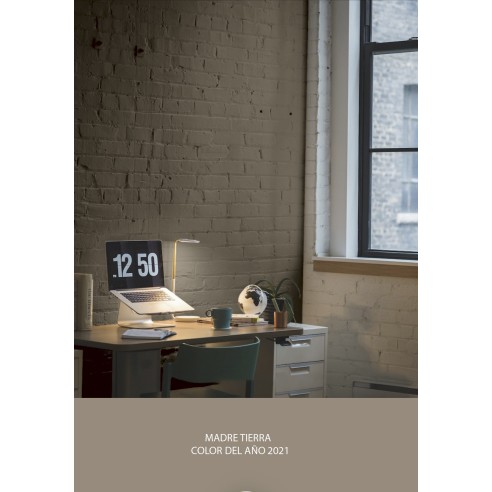 PINTURA PARED MADRE TIERRA MATE COLOR 2021