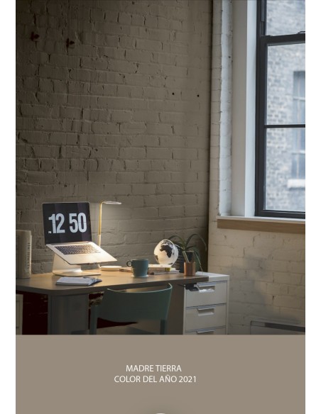 PINTURA PARED MADRE TIERRA MATE COLOR 2021