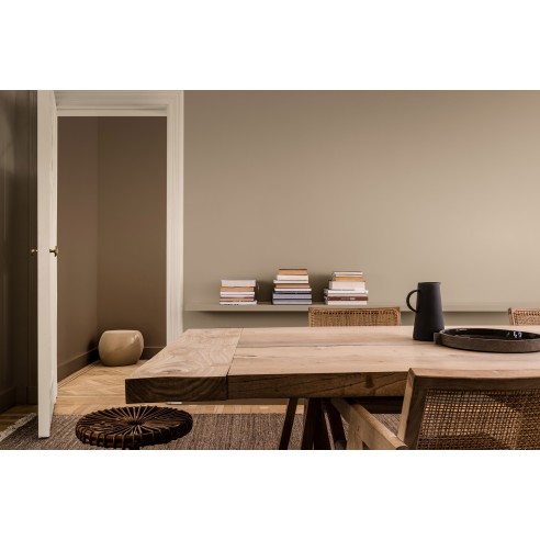 PINTURA PARED MADRE TIERRA MATE COLOR 2021