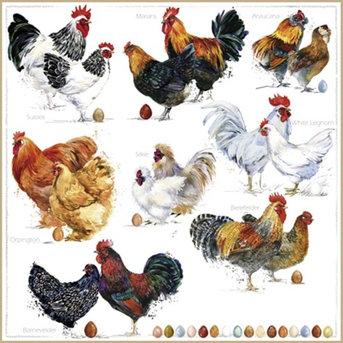 SERVILLETA 33X33CM POULETS