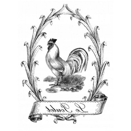 TRANSFER LE POULET 25X35CM