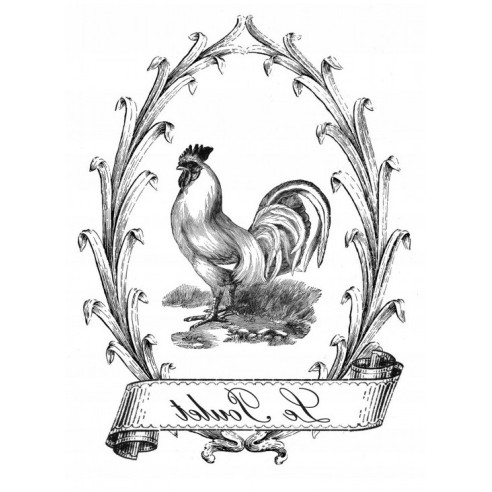 TRANSFER LE POULET 25X35CM