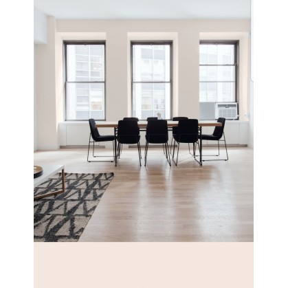 PINTURA PARED PETALO MATE...