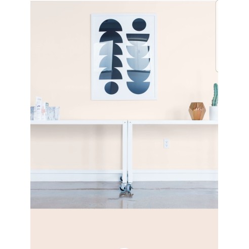 PINTURA PARED PETALO MATE COLOR 2020