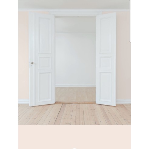 PINTURA PARED PETALO MATE COLOR 2020