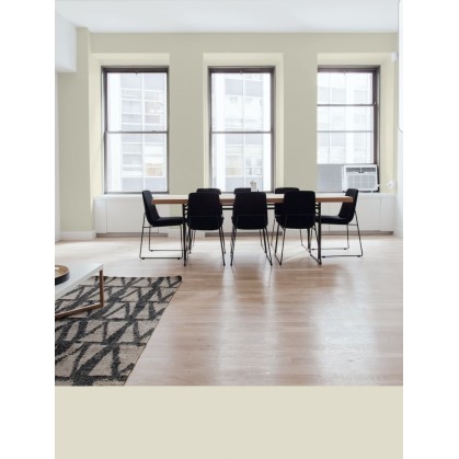 PINTURA PARED DUNA MATE...