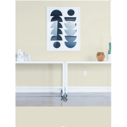 PINTURA PARED DUNA MATE... 2