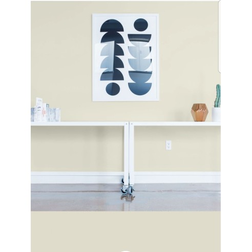 PINTURA PARED DUNA MATE COLOR 2020