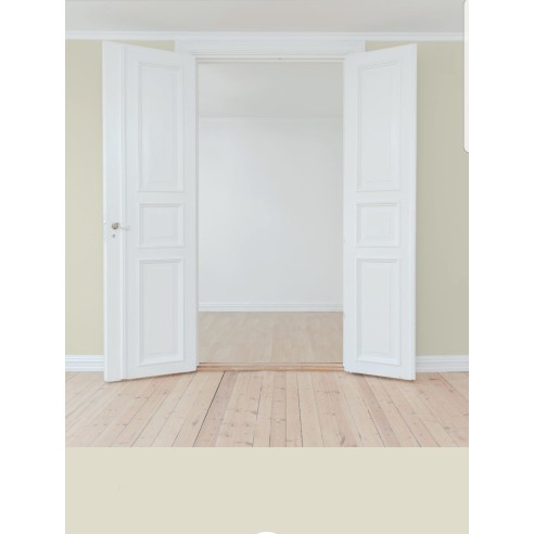 PINTURA PARED DUNA MATE COLOR 2020