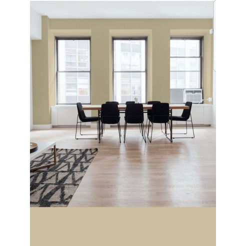 PINTURA PARED CAMEL MATE COLOR 2020