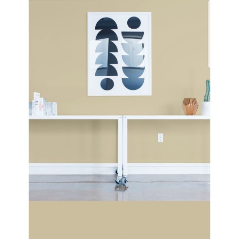 PINTURA PARED CAMEL MATE COLOR 2020