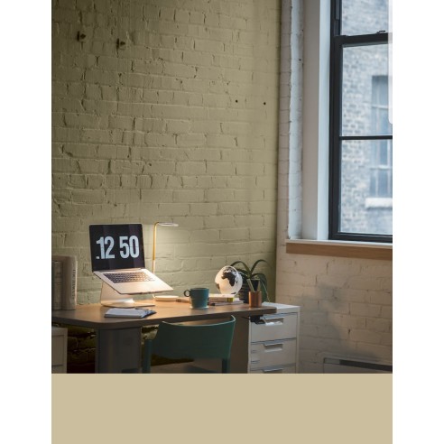 PINTURA PARED CAMEL MATE COLOR 2020