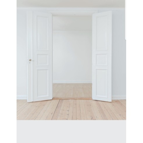 PINTURA PARED HIELO MATE COLOR 2020