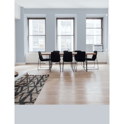 PINTURA PARED ALUMINIO MATE...