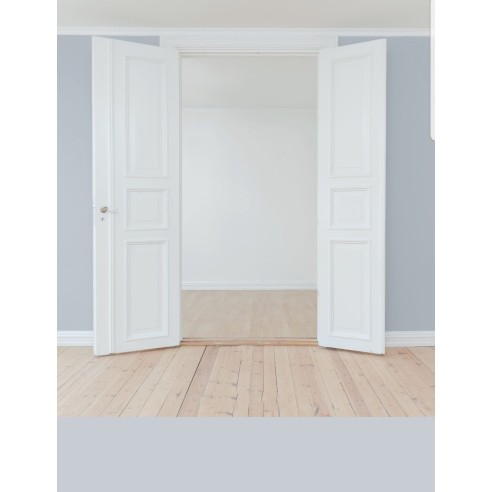 PINTURA PARED ALUMINIO MATE COLOR 2020