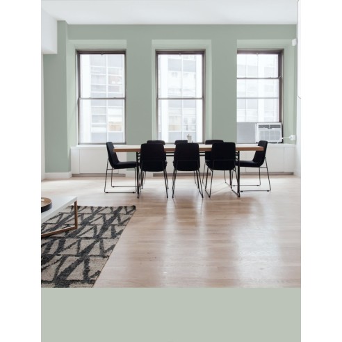 PINTURA PARED VERDE SAGE MATE COLOR 2020