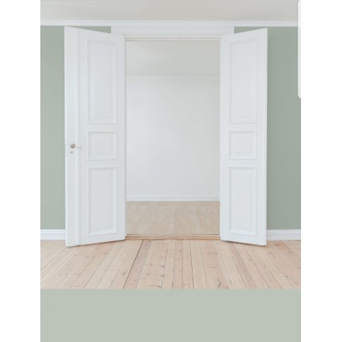 PINTURA PARED VERDE SAGE MATE COLOR 2020