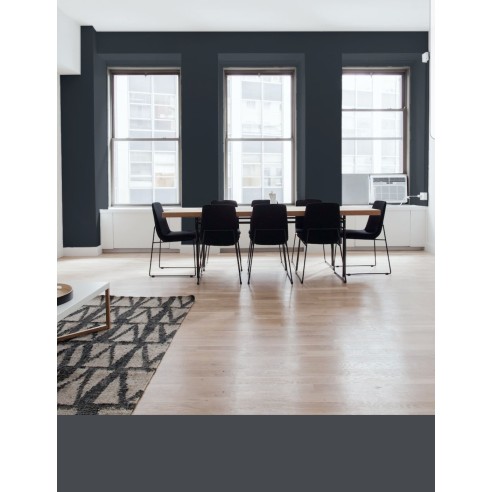 PINTURA PARED PLOMO MATE COLOR 2020