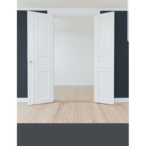 PINTURA PARED PLOMO MATE COLOR 2020