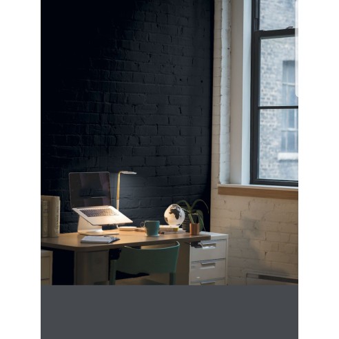 PINTURA PARED PLOMO MATE COLOR 2020