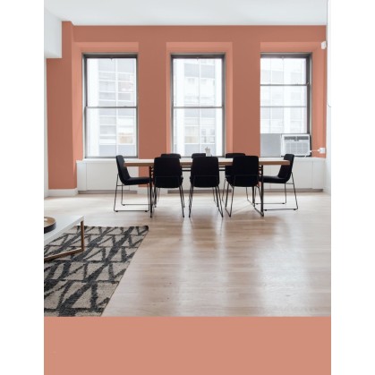 PINTURA PARED CORAL MATE...