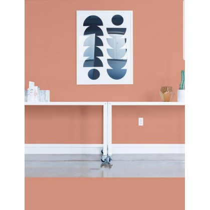 PINTURA PARED CORAL MATE... 2