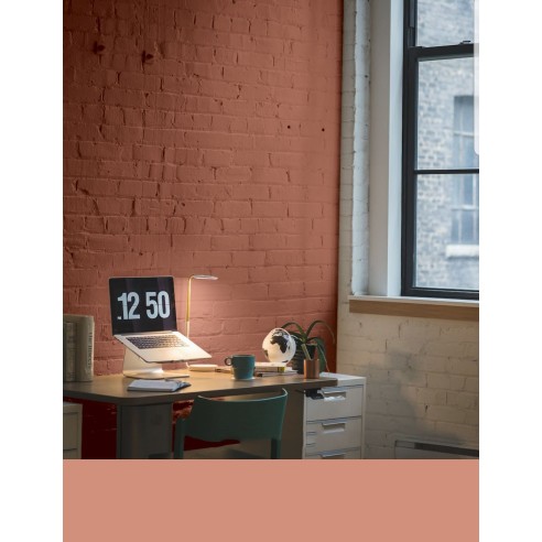 PINTURA PARED CORAL MATE COLOR 2020