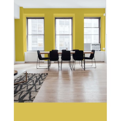 PINTURA PARED MOSTAZA MATE...