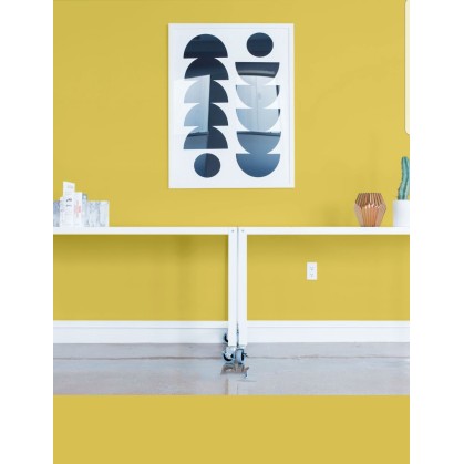 PINTURA PARED MOSTAZA MATE... 2