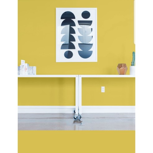 PINTURA PARED MOSTAZA MATE COLOR 2020