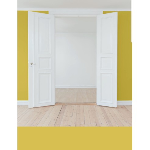 PINTURA PARED MOSTAZA MATE COLOR 2020