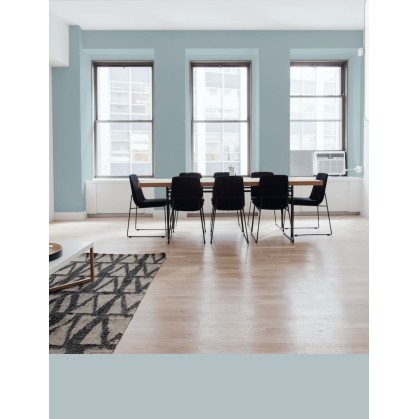 PINTURA PARED BALTICO MATE...