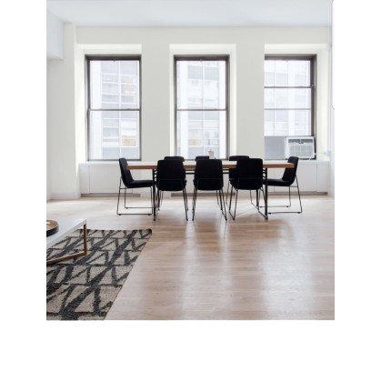 PINTURA PARED BLANCA  MATE COLOR 2020