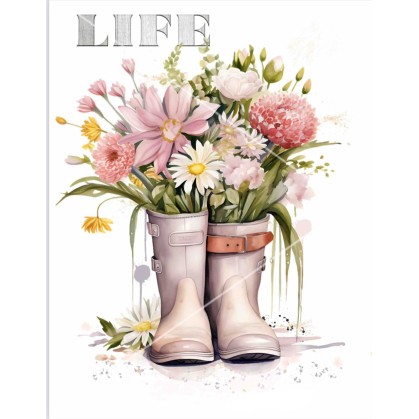 TRANSFERS BOTA AGUA BLANCA...