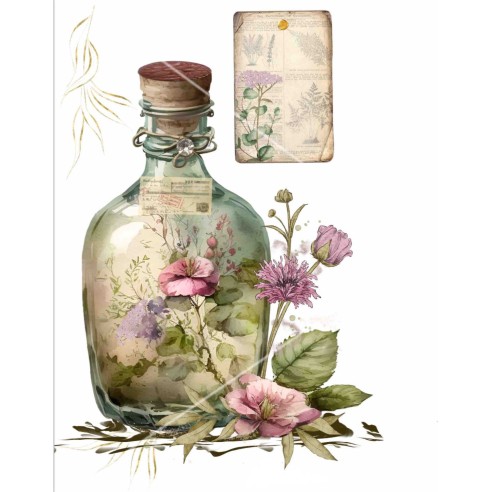 TRANSFERS PERFUMERO ROSAS T018