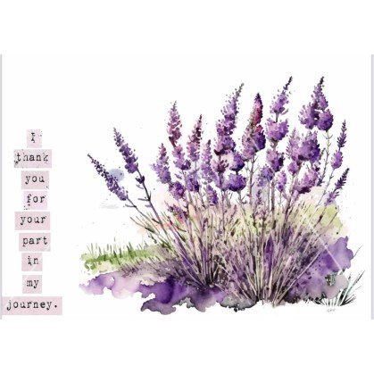 TRANSFERS LAVANDA T021