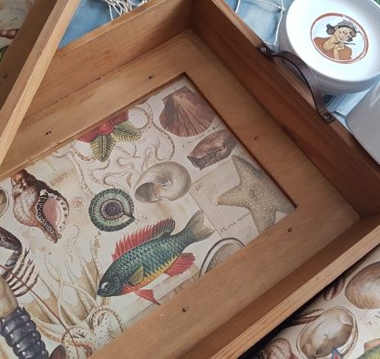 Decorar una bandeja de cocina